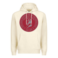 Sandshell stevens institute of technology Premium Hoodie - linhVisuals