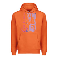 Carrot castlevania alucard dark portrait t shirt Premium Hoodie - linhVisuals