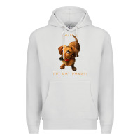Dove Grey can i pet dat dawg funny dog dachshund lover doxie gift t shirt Premium Hoodie - linhVisuals
