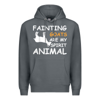 Rock fainting goats are my spirit animal t shirt Premium Hoodie - linhVisuals