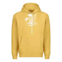 Antique Gold christian disc golf i can do all things philippians 4 13 t shirt Premium Hoodie - linhVisuals