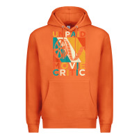 Carrot unpaid movie critic shirt film cinema motion picture fan t shirt Premium Hoodie - linhVisuals