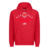 Red us army corps of engineers (usace) pullover hoodie Premium Hoodie - linhVisuals