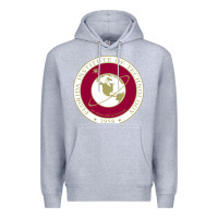 Heather Grey florida institute of technology Premium Hoodie - linhVisuals