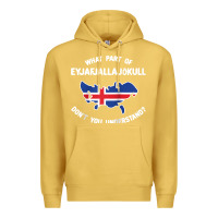 Antique Gold what part of eyjafjallajökull don't you understand raglan baseball te Premium Hoodie - linhVisuals