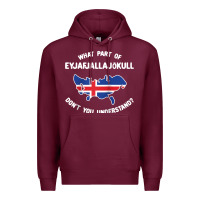 Burgundy what part of eyjafjallajökull don't you understand raglan baseball te Premium Hoodie - linhVisuals