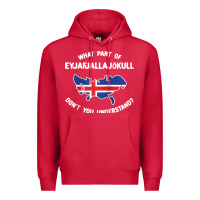 Cardinal what part of eyjafjallajökull don't you understand raglan baseball te Premium Hoodie - linhVisuals
