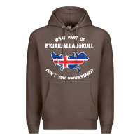 Coffee what part of eyjafjallajökull don't you understand raglan baseball te Premium Hoodie - linhVisuals