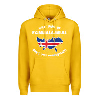 Lemon what part of eyjafjallajökull don't you understand raglan baseball te Premium Hoodie - linhVisuals