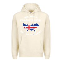 Tofu what part of eyjafjallajökull don't you understand raglan baseball te Premium Hoodie - linhVisuals