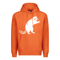 Carrot raccoon Premium Hoodie - linhVisuals