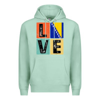 Seafoam vintage retro i love bosnia flag for bosnian pride gift t shirt Premium Hoodie - linhVisuals