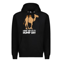 Black what day is it hump day funny camels hump day t shirt Premium Hoodie - linhVisuals