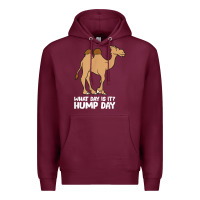 Burgundy what day is it hump day funny camels hump day t shirt Premium Hoodie - linhVisuals