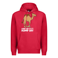 Cardinal what day is it hump day funny camels hump day t shirt Premium Hoodie - linhVisuals