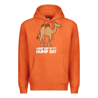 Carrot what day is it hump day funny camels hump day t shirt Premium Hoodie - linhVisuals