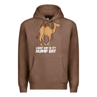 Chestnut what day is it hump day funny camels hump day t shirt Premium Hoodie - linhVisuals