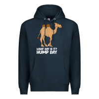 Navy what day is it hump day funny camels hump day t shirt Premium Hoodie - linhVisuals