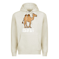 Oatmeal Heather what day is it hump day funny camels hump day t shirt Premium Hoodie - linhVisuals