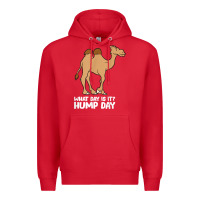 Red what day is it hump day funny camels hump day t shirt Premium Hoodie - linhVisuals