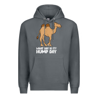 What Day Is It Hump Day Funny Camels Hump Day T Shirt Premium Hoodie | Teevron