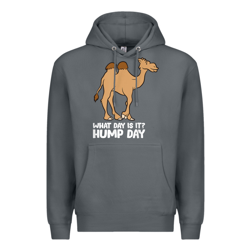 What Day Is It Hump Day Funny Camels Hump Day T Shirt Premium Hoodie by linhVisuals | Teevron