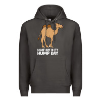 Smoke what day is it hump day funny camels hump day t shirt Premium Hoodie - linhVisuals