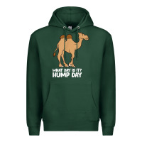 Sports Green what day is it hump day funny camels hump day t shirt Premium Hoodie - linhVisuals