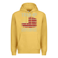 Antique Gold vintage usa american flag trump was right about everything pullover ho Premium Hoodie - linhVisuals
