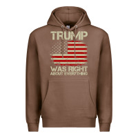 Chestnut vintage usa american flag trump was right about everything pullover ho Premium Hoodie - linhVisuals