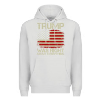 Dove Grey vintage usa american flag trump was right about everything pullover ho Premium Hoodie - linhVisuals