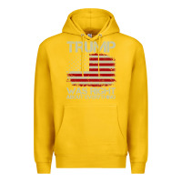 Lemon vintage usa american flag trump was right about everything pullover ho Premium Hoodie - linhVisuals