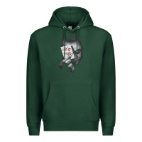 Sports Green us dc dark knight photo why so serious 01 black h pullover hoodie Premium Hoodie - linhVisuals