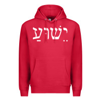 Cardinal yeshua jesus in hebrew pullover hoodie Premium Hoodie - linhVisuals