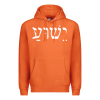 Carrot yeshua jesus in hebrew pullover hoodie Premium Hoodie - linhVisuals