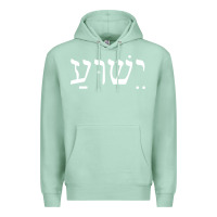 Seafoam yeshua jesus in hebrew pullover hoodie Premium Hoodie - linhVisuals