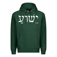 Sports Green yeshua jesus in hebrew pullover hoodie Premium Hoodie - linhVisuals