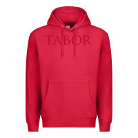 Cardinal tabor academy Premium Hoodie - linhVisuals