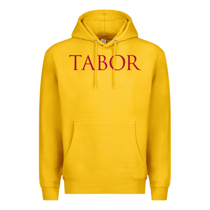 Tabor Academy Premium Hoodie by linhVisuals | Teevron