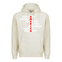 Oatmeal Heather anti trump resist Premium Hoodie - linhVisuals