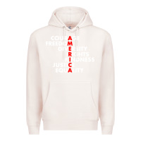 Pale Pink anti trump resist Premium Hoodie - linhVisuals