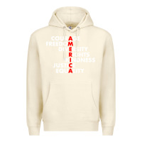 Sandshell anti trump resist Premium Hoodie - linhVisuals