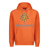 Carrot bryn mawr school Premium Hoodie - linhVisuals