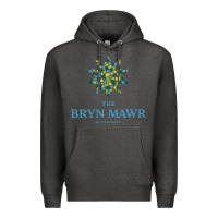 Charcoal Heather bryn mawr school Premium Hoodie - linhVisuals