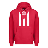 Cardinal puerto rico taino taina sun puerto rican flag pride boricua pullover h Premium Hoodie - linhVisuals