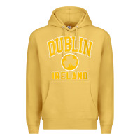Antique Gold womens dublin ireland varsity style shamrock green with amber print v Premium Hoodie - linhVisuals