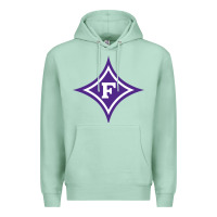 Seafoam furma Premium Hoodie - linhVisuals