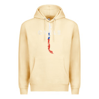 Pina Colada chilean map and flag   distressed chile souvenir t shirt Premium Hoodie - linhVisuals