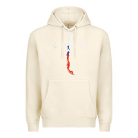 Tofu chilean map and flag   distressed chile souvenir t shirt Premium Hoodie - linhVisuals