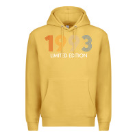 Antique Gold retro 29 years vintage 1993 limited edition 29th birthday t shirt Premium Hoodie - linhVisuals